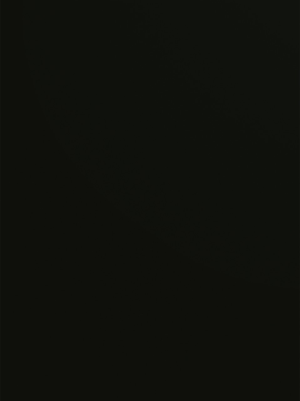 00113 V2A Elegant black MDF